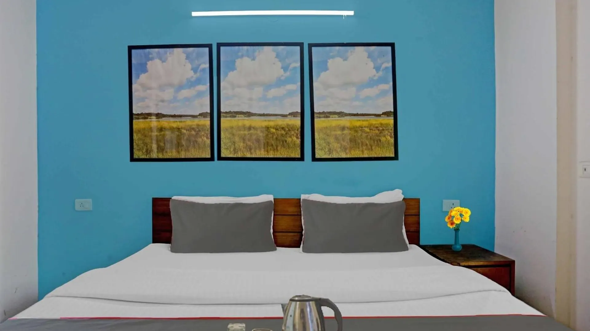 Collection O Daffodils Hotel Gurgaon 3*,